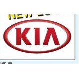Authorized Dealer Free Flying Drape Flags (KIA®) (2.5' x 3.5')