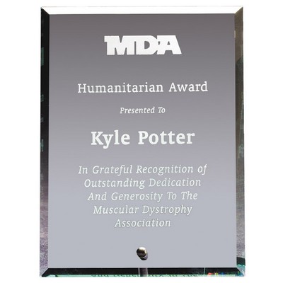 Premium Beveled Edge Glass Award w/Silver Pinstand (8" x 10")