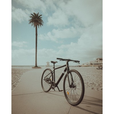 Solé e(Commuter) Overthrow