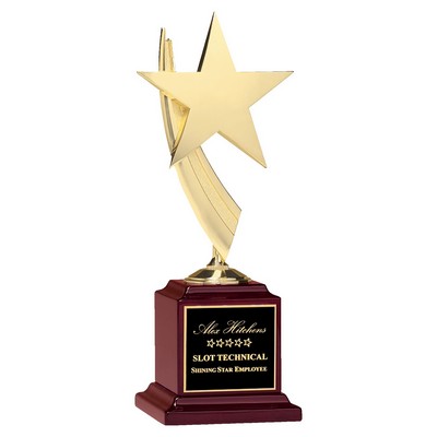 Star Casting in Finish on Rosewood Piano Finish Base