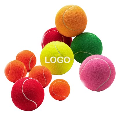 Fetch 'n' Play Dog Ball