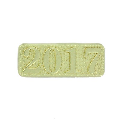1" 2017 Chenille Letter Pin