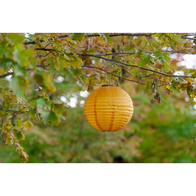 Allsop Home & Garden Festival Lantern - Canary Yellow