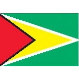 3'x5' Guyana U.N. Nylon Outdoor Flag - Style B