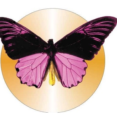 Black & Purple Butterfly Acrylic Coaster w/Felt Back