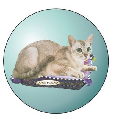 Asian Burmilla Cat Round Badge w/ Bar Pin (2 1/2" Diameter)