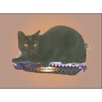 British Bombay Cat Rectangle Metal Photo Magnet (2"x3")