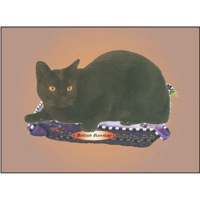 British Bombay Cat Rectangle Badge w/ Bar Pin (2 1/2"x3 1/2")