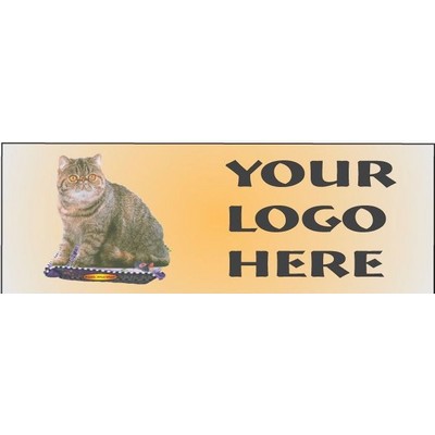 Exotic Shorthair Cat Panoramic Metal Photo Magnet