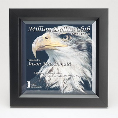 SHINE: Black Wood Framed Glass Wall Award w/Easel Back