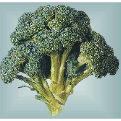 Broccoli Metal Photo Magnet (2 1/2"x2 1/2")