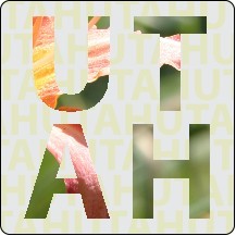 3" Kwik-Ship Clear Poly Digital Print Round Corner Decal w/Back Adhesive