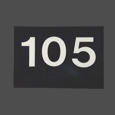 Plastic ADA Wall Sign (6"x8")