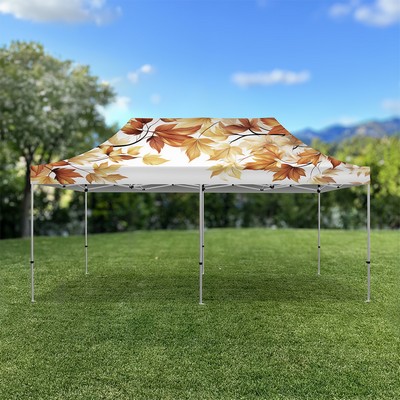 Tenda Aluminum 20' Canopy Tent