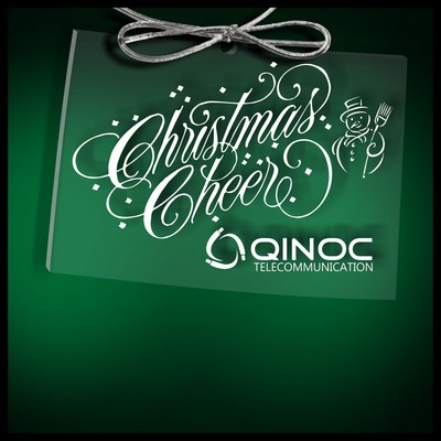 Colorado Budget Ornament in Clear Acrylic