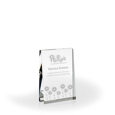 Trident Crystal Award, Medium