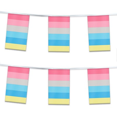 60' 1ply Plastic Genderflux Pride Streamer