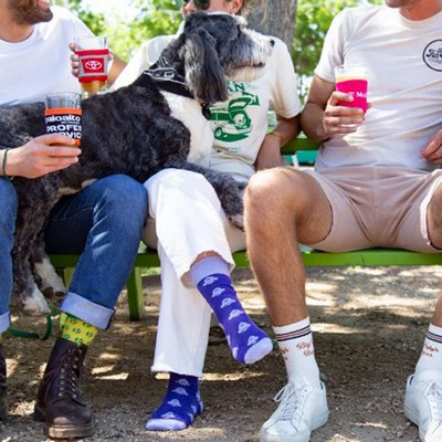 Sports Dog Walking Socks - Active Comfort for Canine Companions - American Made