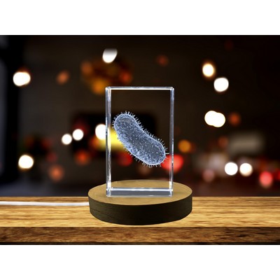 Bacillus Bacteria 3D Engraved Crystal Sculpture w/LED Base Light
