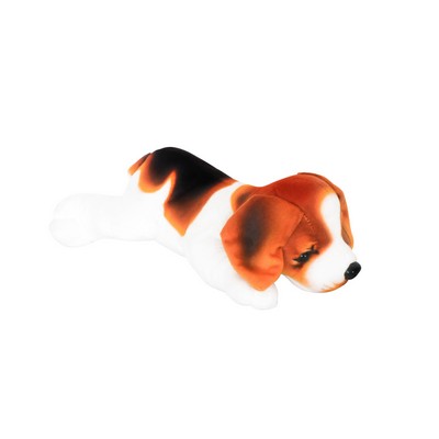 Laying Beagle