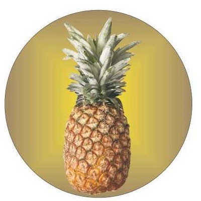 Pineapple Round Metal Photo Magnet (2 1/2")