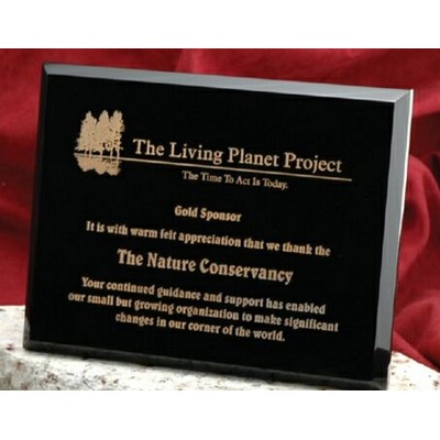 Laser Engraved Onyx Plaque (10 1/2"x13")