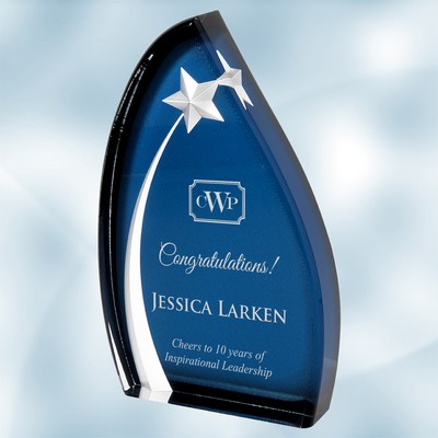 Acrylic Oval Star Award (L)