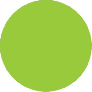 Fluorescent Green Circle Labels - 3" Diameter