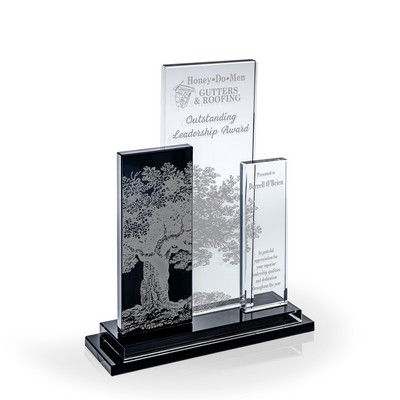 Mirador Black & Clear Crystal Award