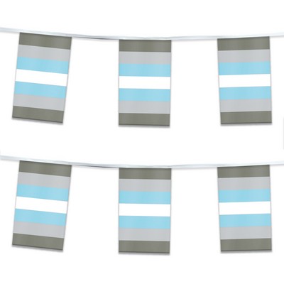 60' 1ply Plastic Demi boy Pride Streamer