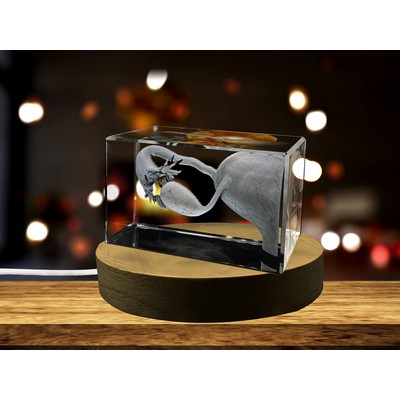 3D Engraved Crystal Fallopian Tubes Trophy Award - Gift for Doctors