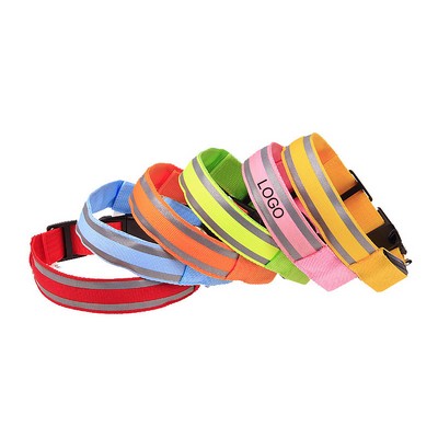 Pet Traction Light Up Collar