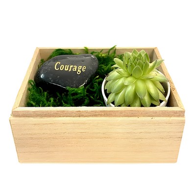 Courage Succulent Gift Box