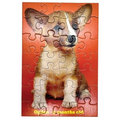 28 Piece Picture Puzzle