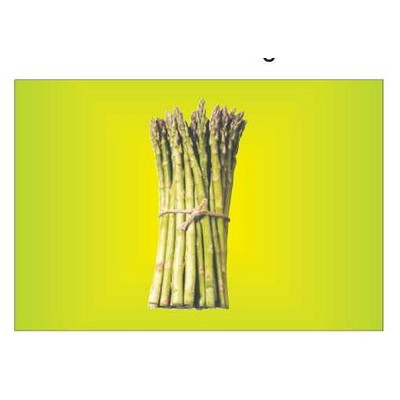 Asparagus Rectangle Metal Photo Magnet (2"x3")