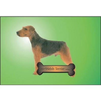 Welsh Terrier Dog Rectangle Metal Photo Magnet (2"x3")