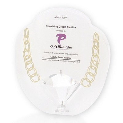 Custom Shape Embedment/Award/Paperweight