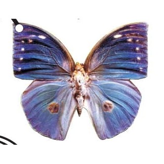 Blue Butterfly Keychain w/Mirrored Back (10 Square Inch)