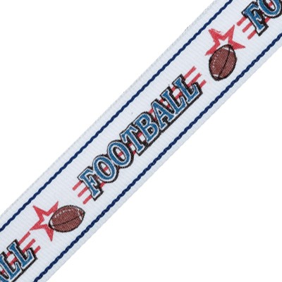 32" RY Series Imported Football Neck Ribbon