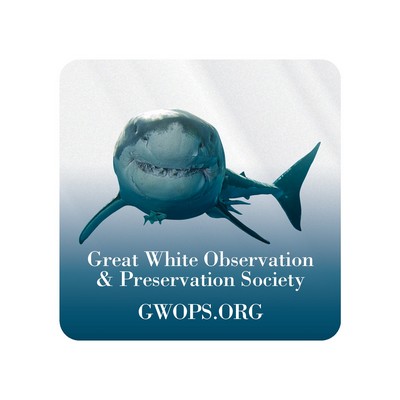 Square Sticker | Round Corners | 1 3/4" x 1 3/4" | Clear Static | Static Back | Digital