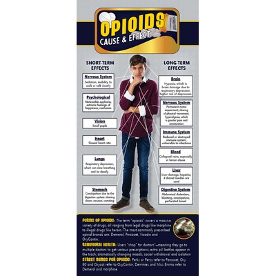 Opioids Cause & Effect Rack Card (4" x 9")