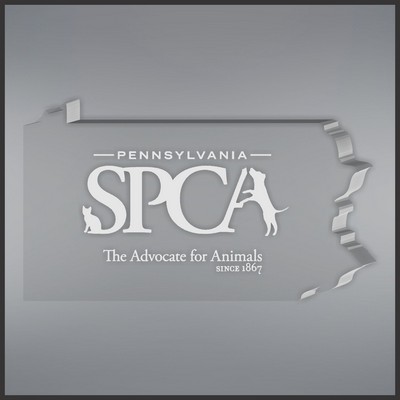 5.75" Pennsylvania Shape Paperweight in Clear, Laser Engraved