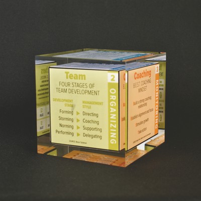 Lucite Cube Embedment Award (4"x4"x4")