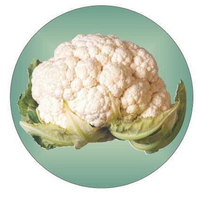 Cauliflower Round Metal Photo Magnet (2 1/2")