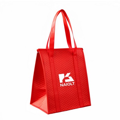 Lightweight Insulated Picnic Cooler Tote