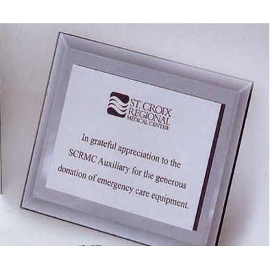 Horizontal Smoke Gray Beveled Mirror Plaque (12"x15)