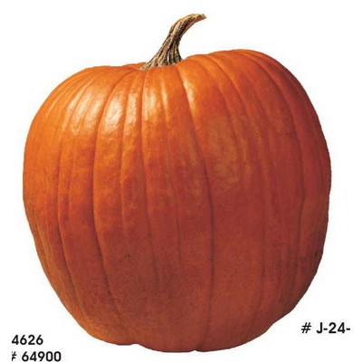 Pumpkin Acrylic Coaster w/Felt Back