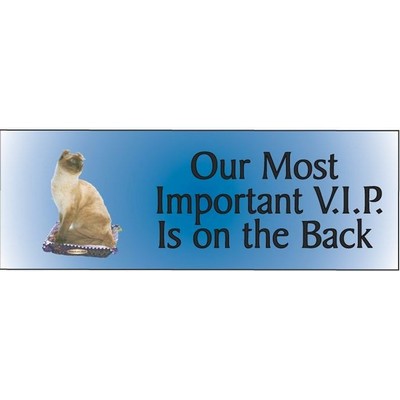 American Curl Cat Panoramic Hand Mirror (1 5/8"x4 5/8")