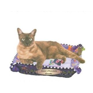 Asian Chocolate Smoke Cat Magnet w/ Full Magnetic Back (4 Square Inch)