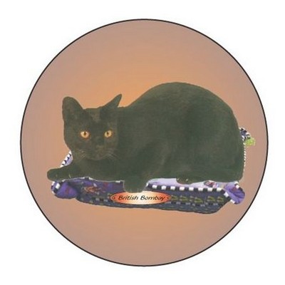 British Bombay Cat Round Badge w/ Bar Pin (2 1/2" Diameter)
